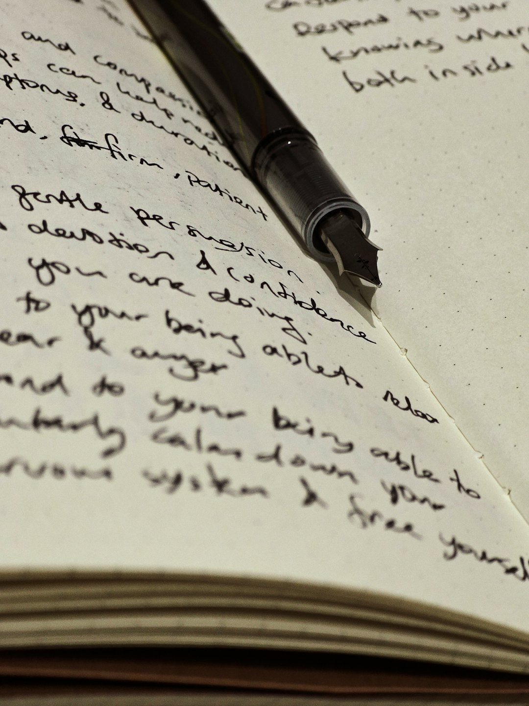A fountain pen rests on an open notebook filled with cursive.